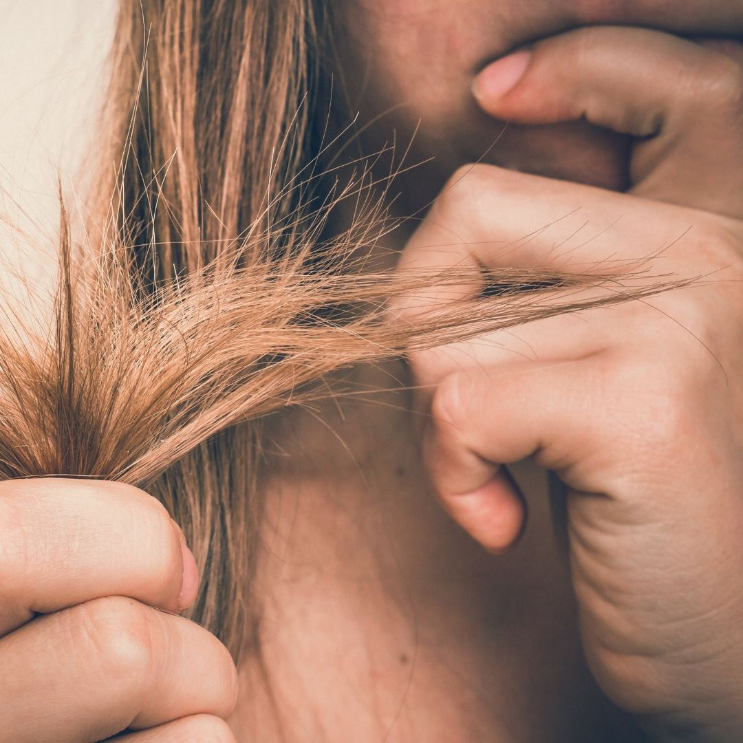 Quick hair quiz: Do I have dry hair?