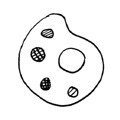 best for coloured hair