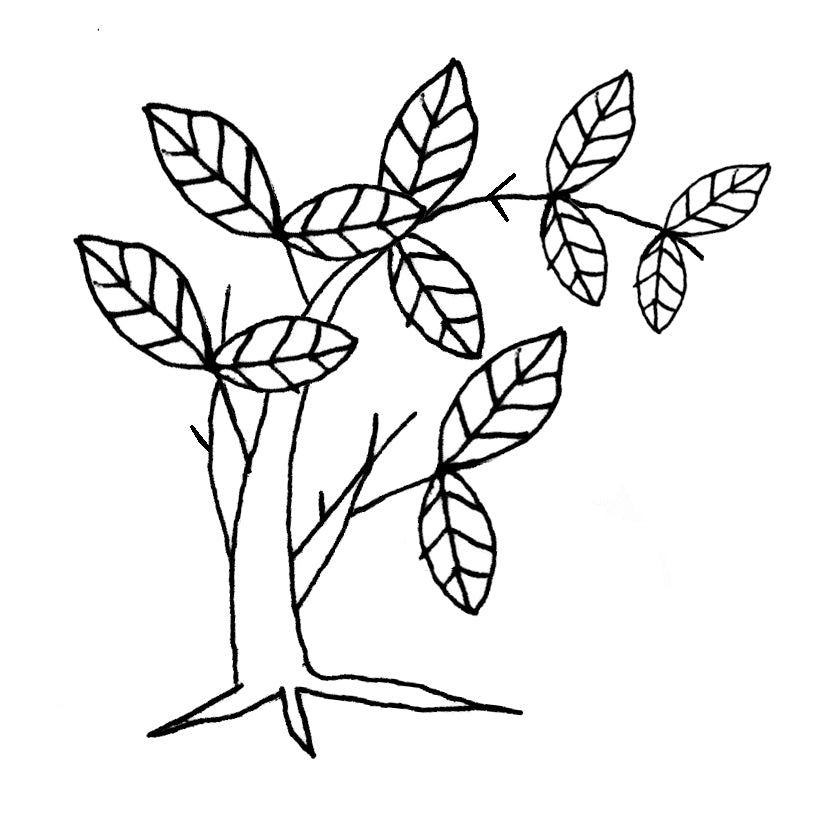 feature-item-1